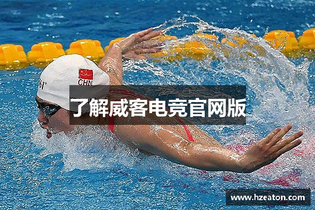 了解威客电竞官网版